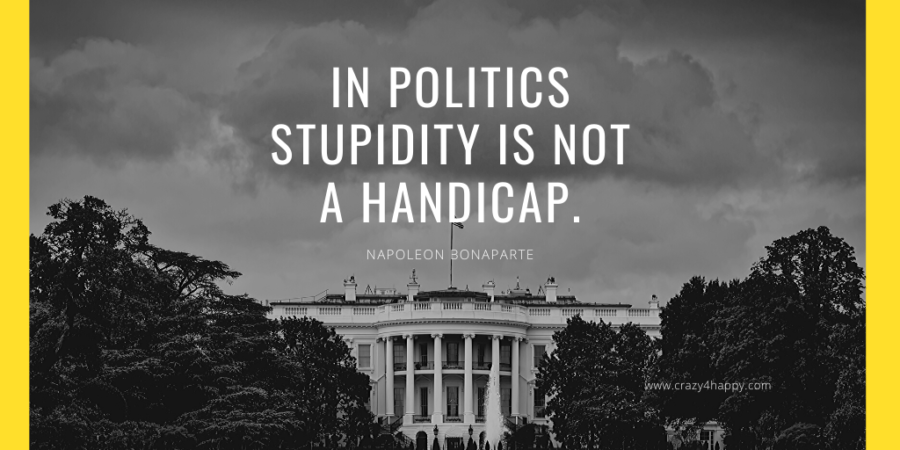 Political Stupidity
